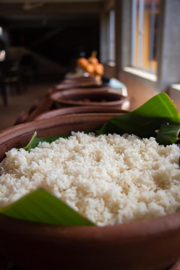 Jasmin Villa Ayurveda Resort Negombo Bagian luar foto